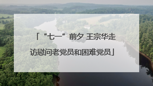 “七一”前夕 王宗华走访慰问老党员和困难党员